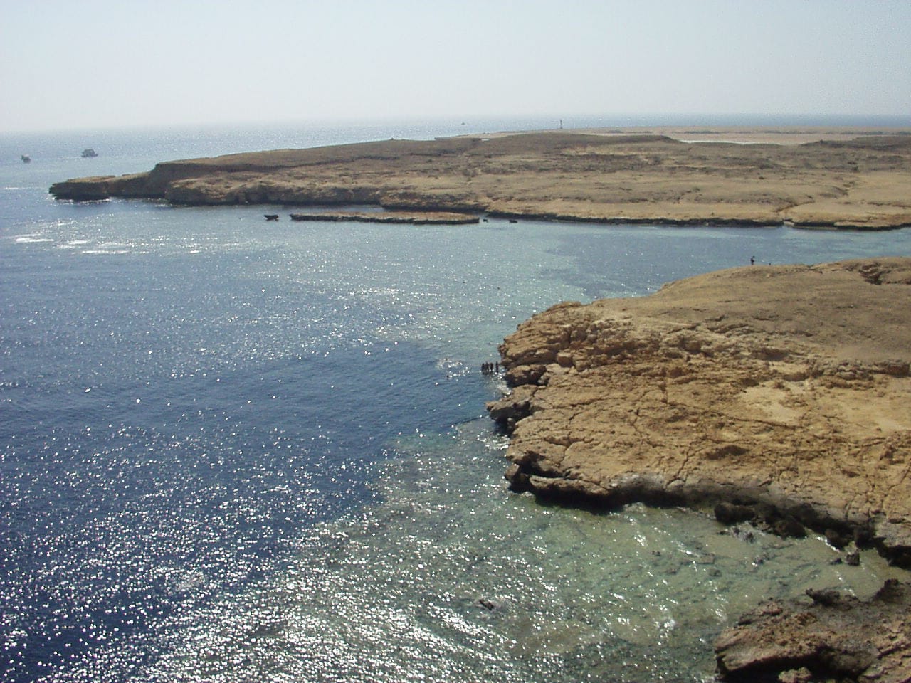 Snorkeler floating above a colorful coral garden full of fish on a Ras Mohammed snorkeling trip from Sharm El Sheikh
